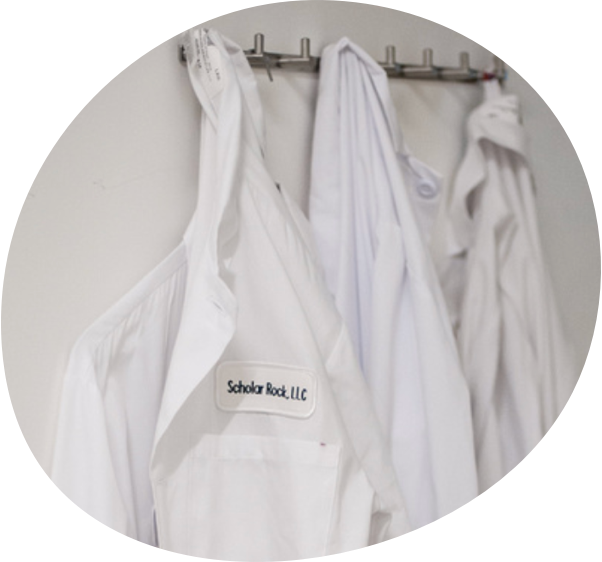 Three lab coats hanging on hooks