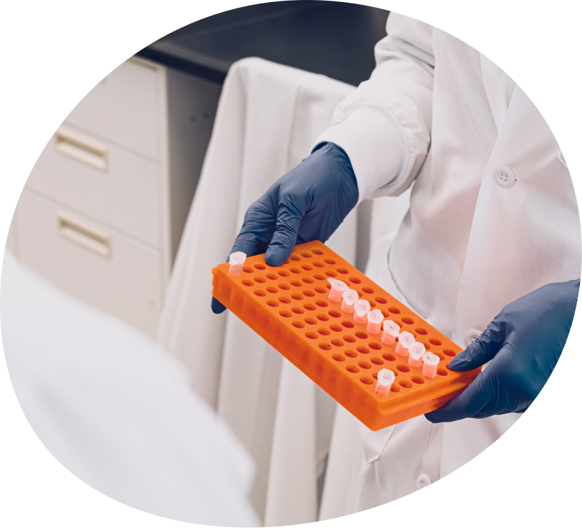 Close up of lab techs gloved hands holding a tray of DNA samples
